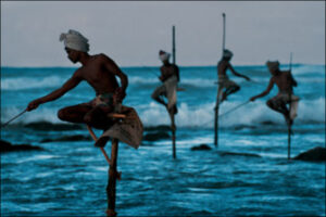 fotografías de Steve McCurry